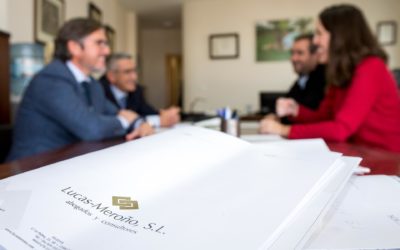La creación de un negocio y el apoyo profesional externo